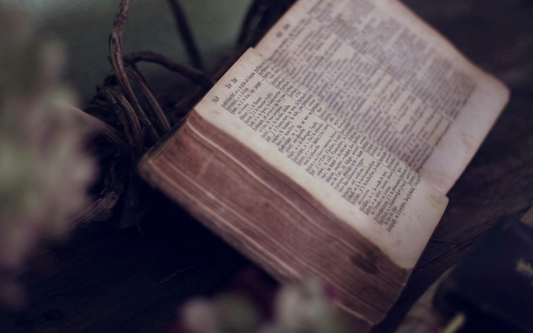 close up photo of bible opened near flowers