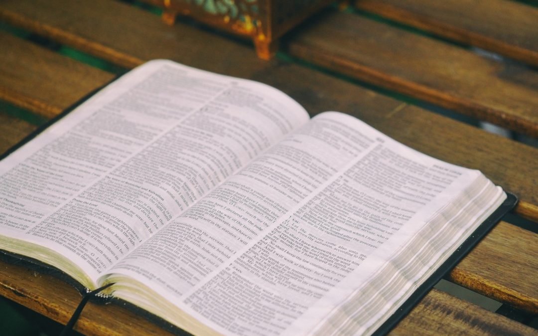 bible opened on table