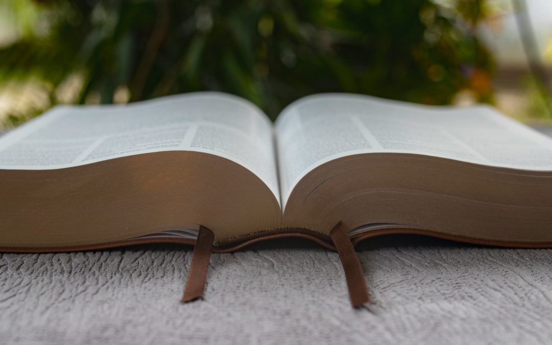 brown book on gray concrete floor